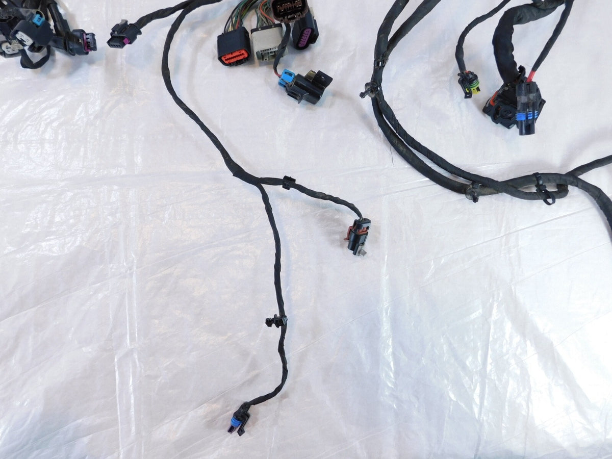 2018-2020 Harley Davidson Softail Low Rider & Fat Boy Main Wire Wiring Harness