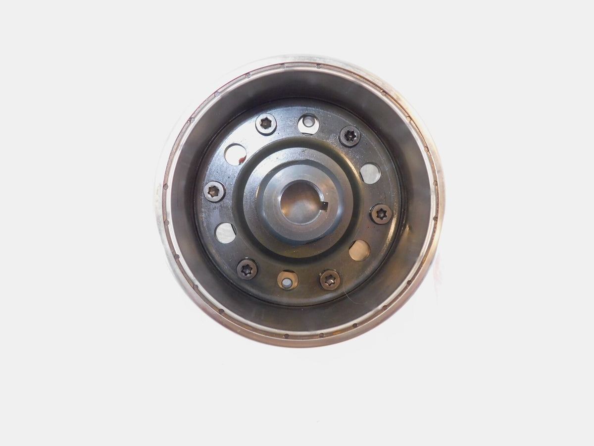 1997-1998 Honda Blackbird CBR1100XX Alternator Generator Stator Magneto Rotor