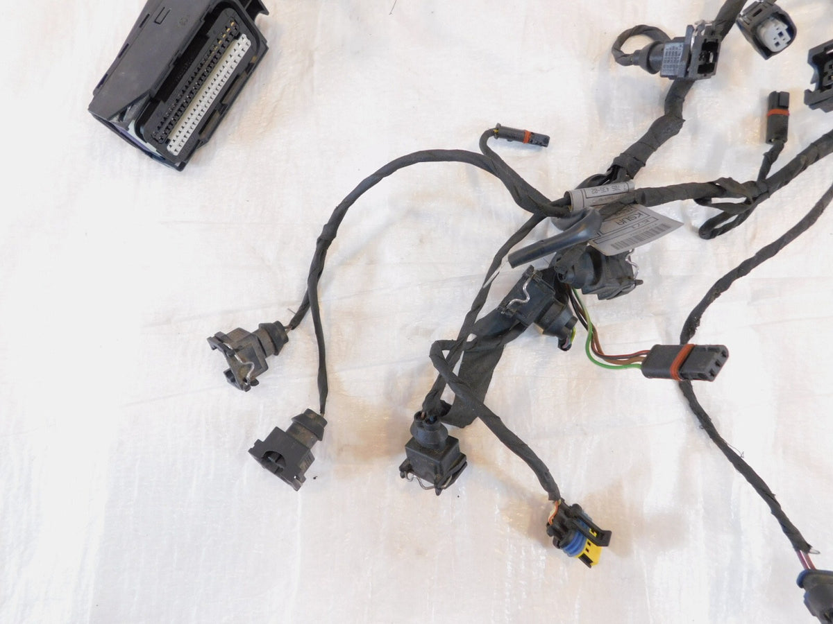 BMW F800 F800R F800S F800ST Engine Motor Throttle Body Injector Wire Harness - C3 Cycle