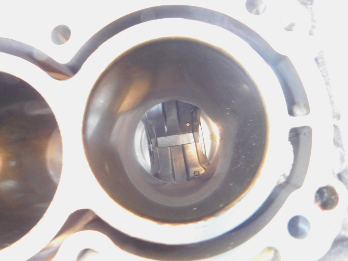 2019 2020 2021 2022 Can-Am Ryker 900 Rally Engine Motor Block Cylinder Crankcase - C3 Cycle