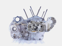 Harley Davidson Sportster 883 1100 & 1200 Silver Crankcase Engine Motor Block - C3 Cycle