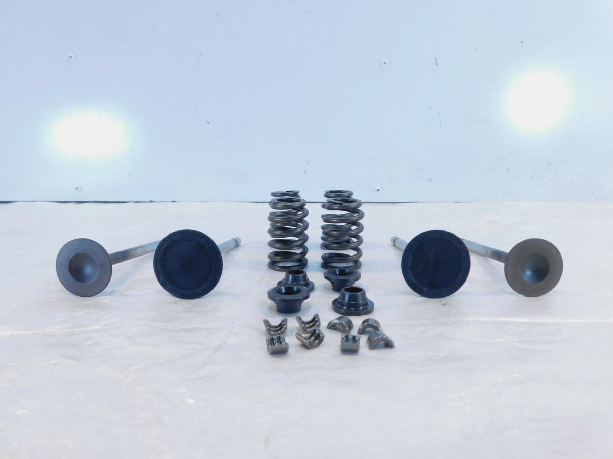 Victory Vision Kingpin & Vegas Exhaust & Intake Valves w/ Retainers & Springs - C3 Cycle