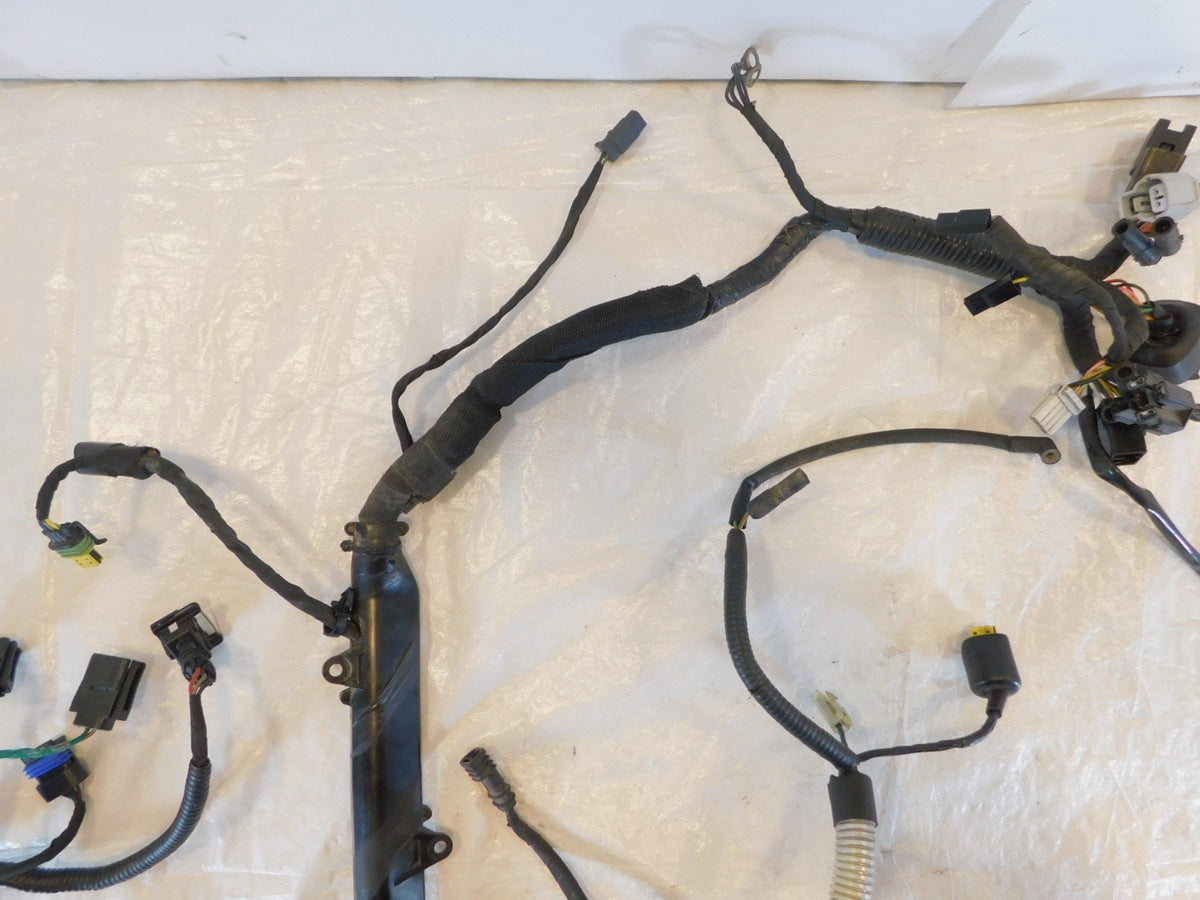 2008 - 2010 Buell XB XB12 XB12X Ulysses Main Wire Wiring Harness Loom - C3 Cycle