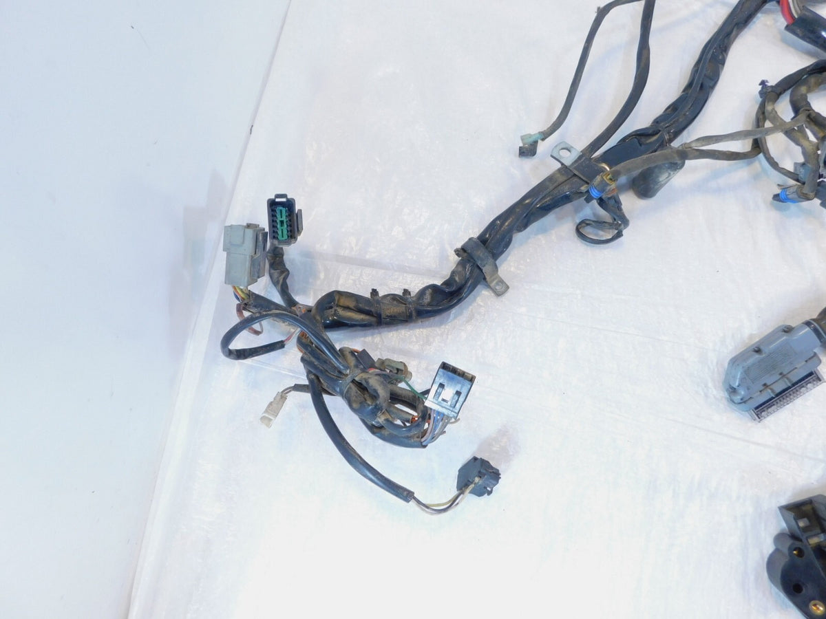 2004 & 2005 Harley Davidson Road King Classic & Custom Main Wire Wiring Harness - C3 Cycle