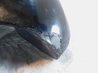 1996-2003 Harley Davidson Sportster 883 & 1200 Black Large Petrol Fuel Gas Tank - C3 Cycle