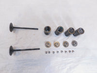 2020-2022 Indian Challenger Limited Dark Horse Intake & Exhaust Valves & Springs - C3 Cycle