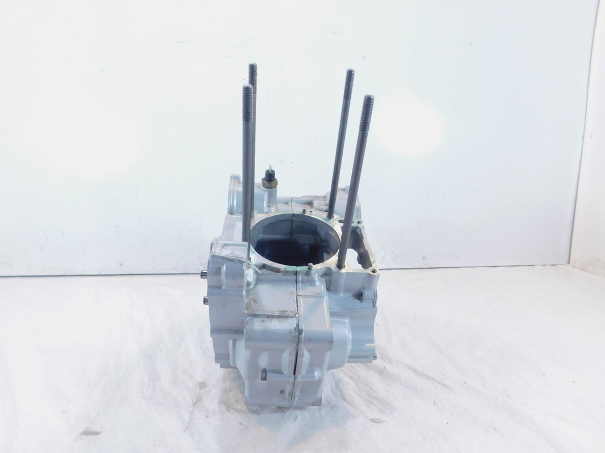 BMW F650 F650GS Dakar & F650CS Scarver Engine Motor Block Housing Crankcase Case - C3 Cycle
