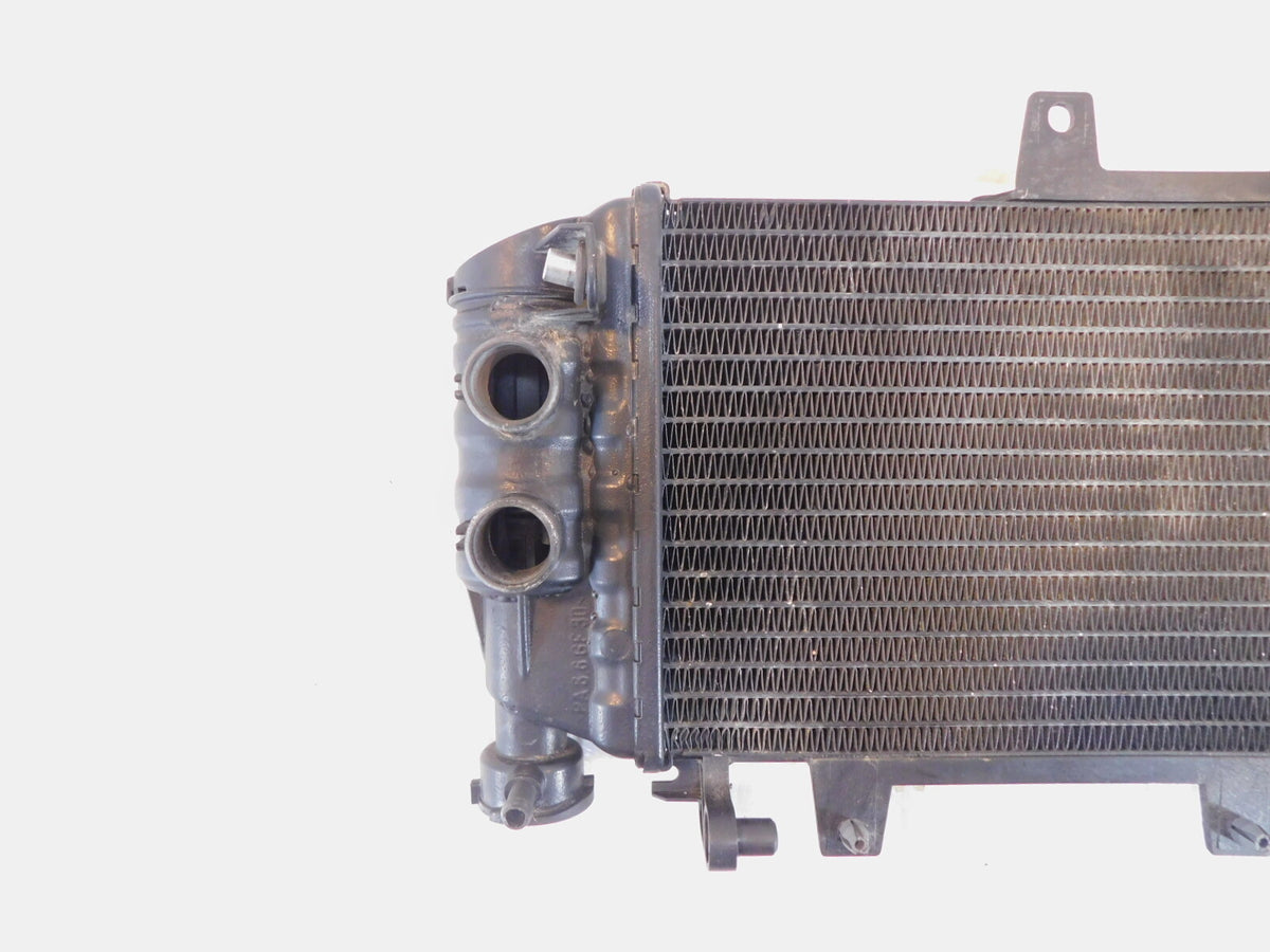 BMW F800 F800R F800S F800ST F700GS F650GS Engine Motor Water Cooling Radiator - C3 Cycle