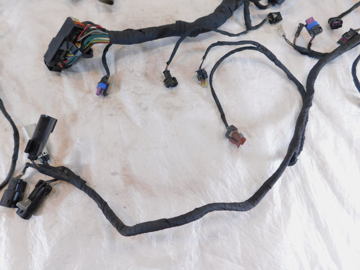 Harley Davidson Pan America RA1250 1250 1250S Engine Wire Wiring Harness Loom - C3 Cycle