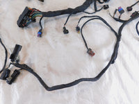 Harley Davidson Pan America RA1250 1250 1250S Engine Wire Wiring Harness Loom - C3 Cycle