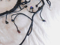 Harley Davidson Pan America RA1250 1250 1250S Engine Wire Wiring Harness Loom - C3 Cycle