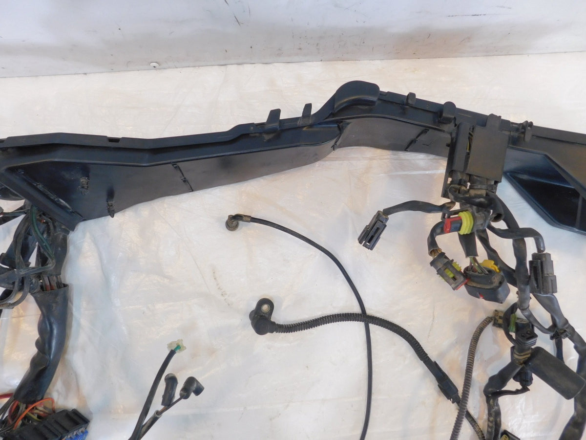 Harley Davidson Electra Glide Classic Road Glide Ultra Main Wire Wiring Harness - C3 Cycle