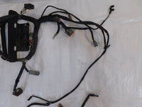 2003 Harley Davidson Softail Heritage Classic & Fat Boy Main Wire Wiring Harness - C3 Cycle