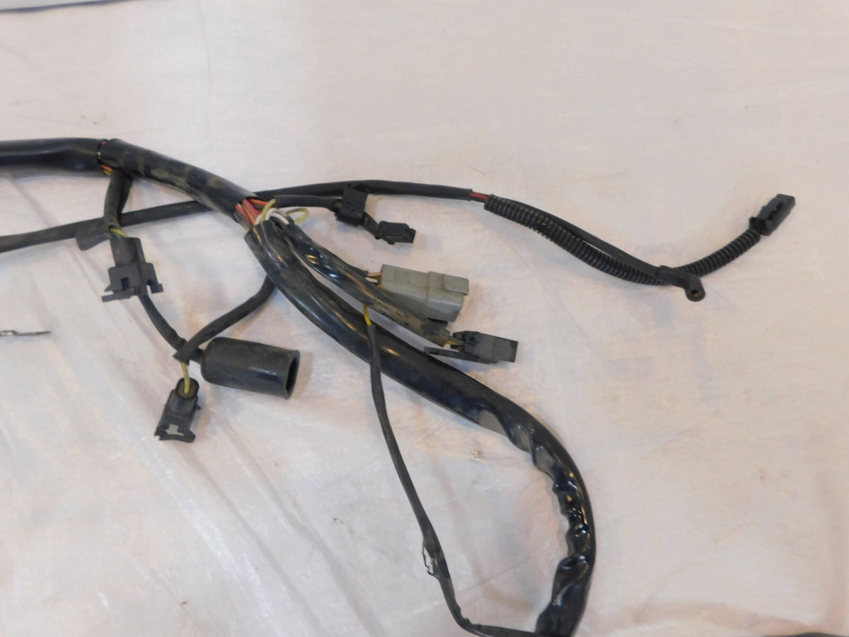 01-02 Harley Davidson Softail Heritage Classic & Fat Boy EFI Wire Wiring Harness - C3 Cycle