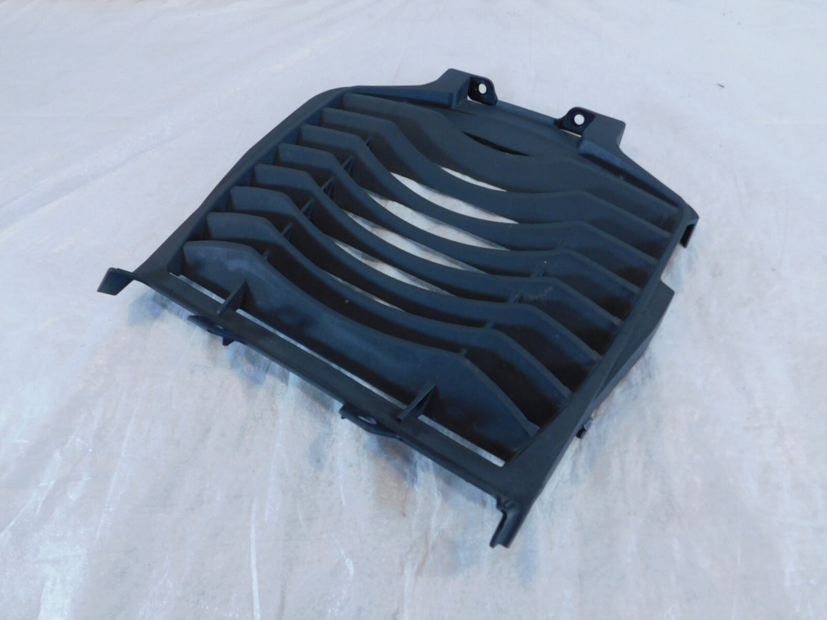 Indian Challenger Pursuit Limited & Dark Horse Front Chin Fairing Radiator Guard - C3 Cycle