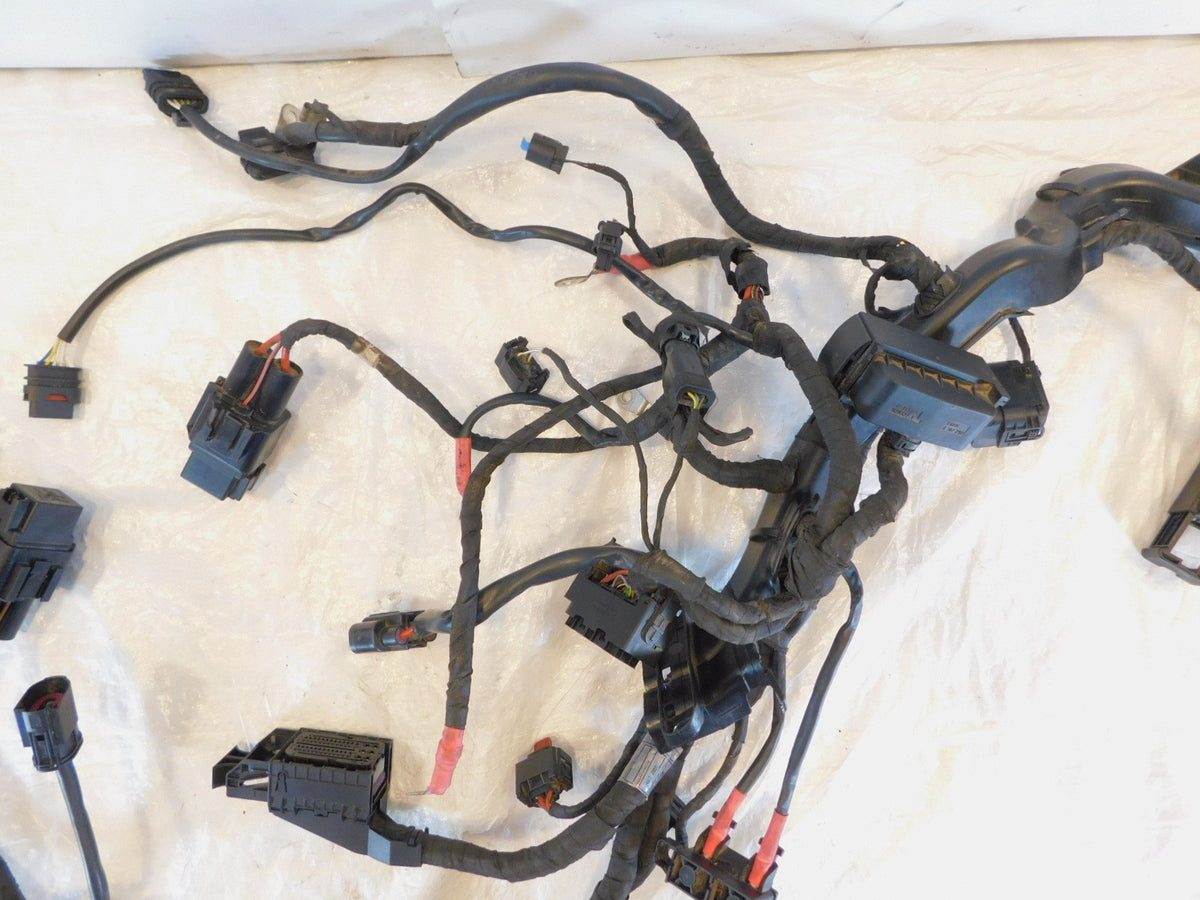 BMW R1250RT R1250 RT K52 Special Purpose Main Electrical Cable Wire Harness Loom - C3 Cycle