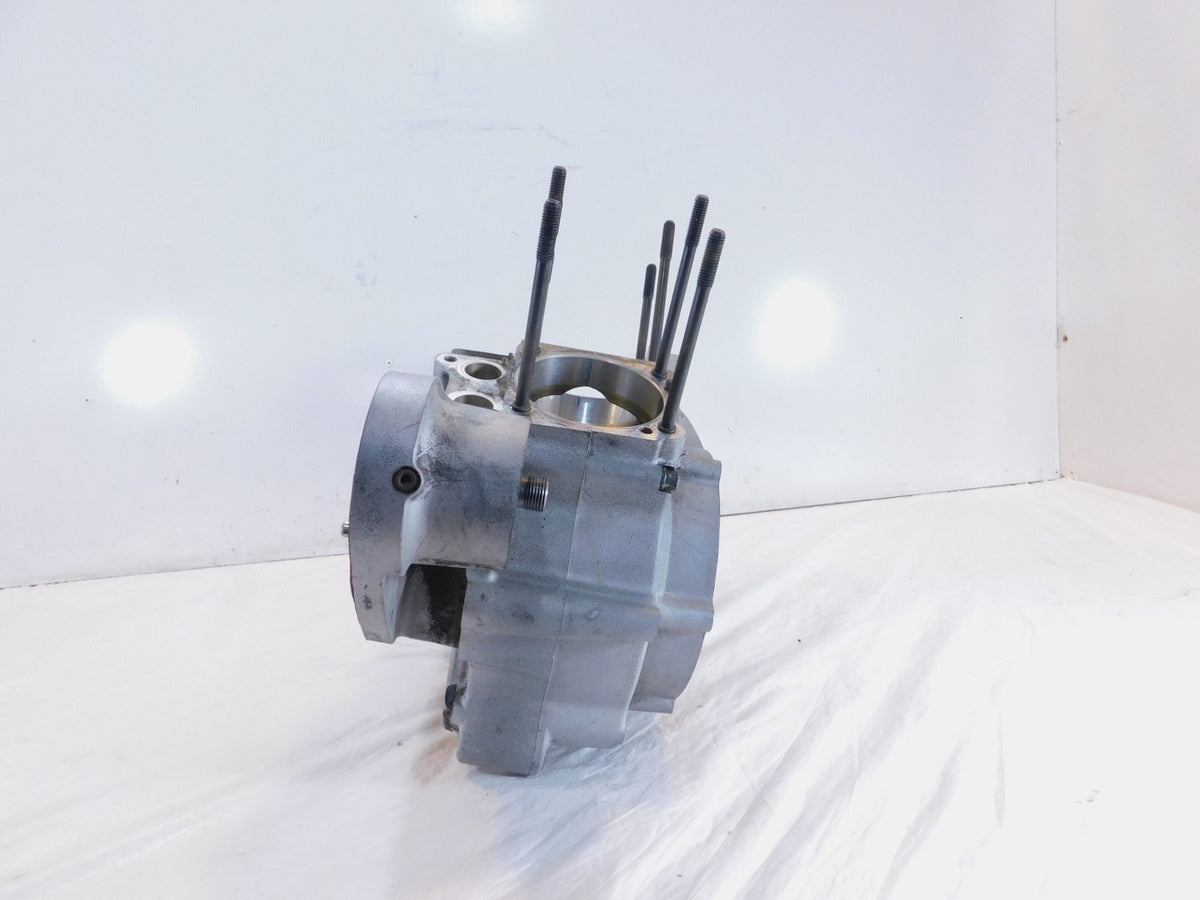 1998 & 1999 Harley Davidson Sportster 883 & 1200 Silver Engine Block Crankcases - C3 Cycle