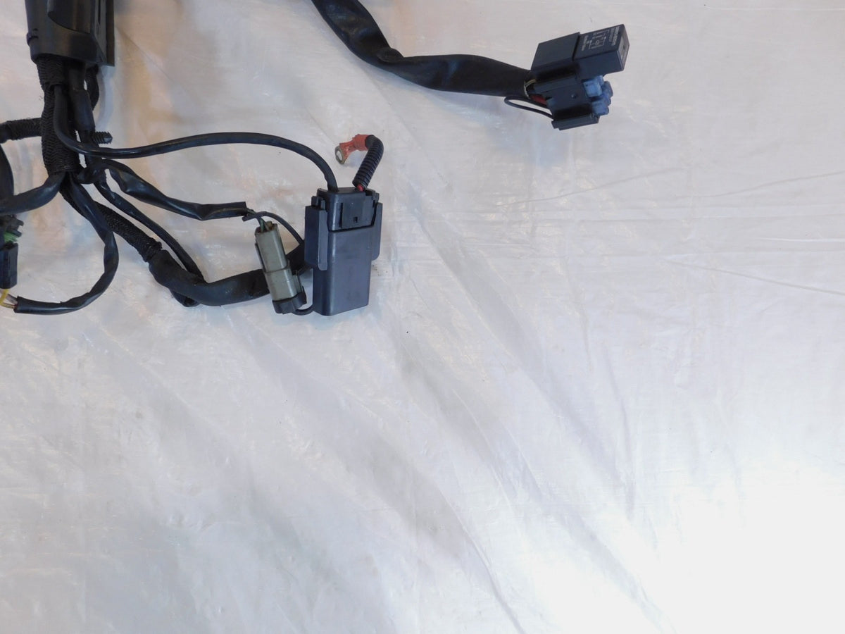 2006 06 Harley Davidson Sportster 883 & 1200 Main Wire Wiring Harness - no Key - C3 Cycle