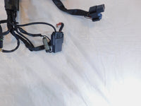2006 06 Harley Davidson Sportster 883 & 1200 Main Wire Wiring Harness - no Key - C3 Cycle