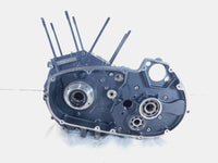 2009-2010 Buell XB XB12 Firebolt Lighting Ulysses Engine Motor Housing Crankcase - C3 Cycle