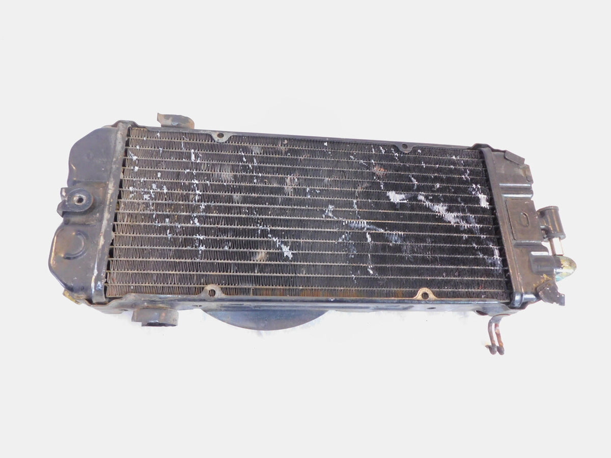 1983 Honda Shadow 750 VT750 VT750C Front Engine Coolant Cooler Radiator - C3 Cycle