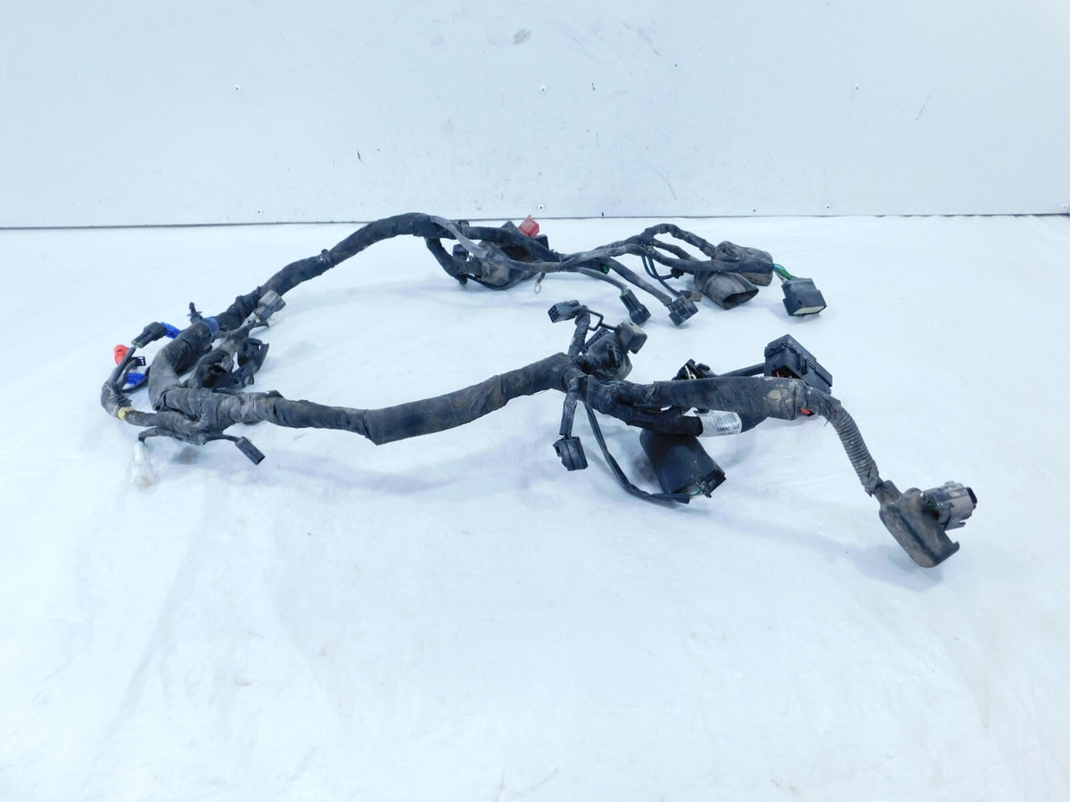 2021 21 Royal Enfield Himalayan 410 LS410 USA Main Wire Harness Wiring Loom - C3 Cycle