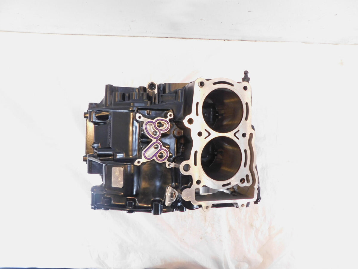 2020-2023 BMW F900R F900XR F900GS F800GS Black Engine Housing Crank Case - C3 Cycle
