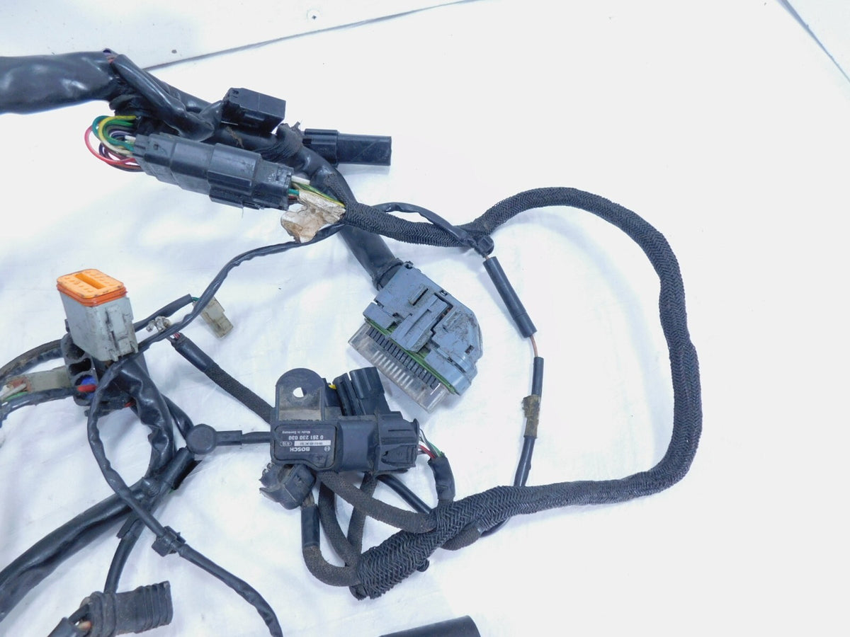 2009 09 Harley Davidson Sportster 883 & 1200 Main Wire Wiring Harness - w/Key - C3 Cycle