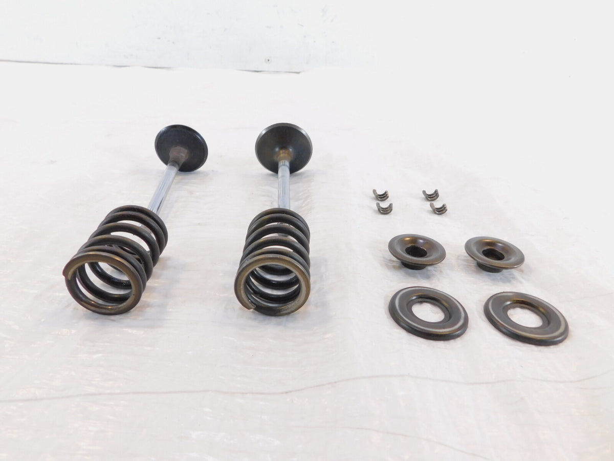 1979-1984 BMW Airhead R100CS R100RS R100/T Intake/Exhaust Valves Seats & Springs - C3 Cycle