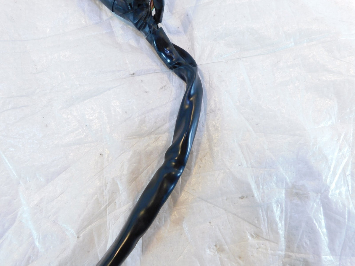 2004 2005 Harley Davidson Road King & Electra Glide EFI ECM Wire Wiring Harness - C3 Cycle
