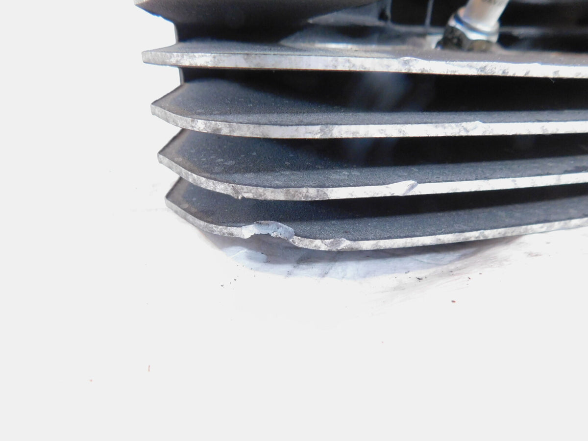 Harley Davidson Touring Softail & Dyna Black Cylinder Heads w/ Springs & Valves - C3 Cycle