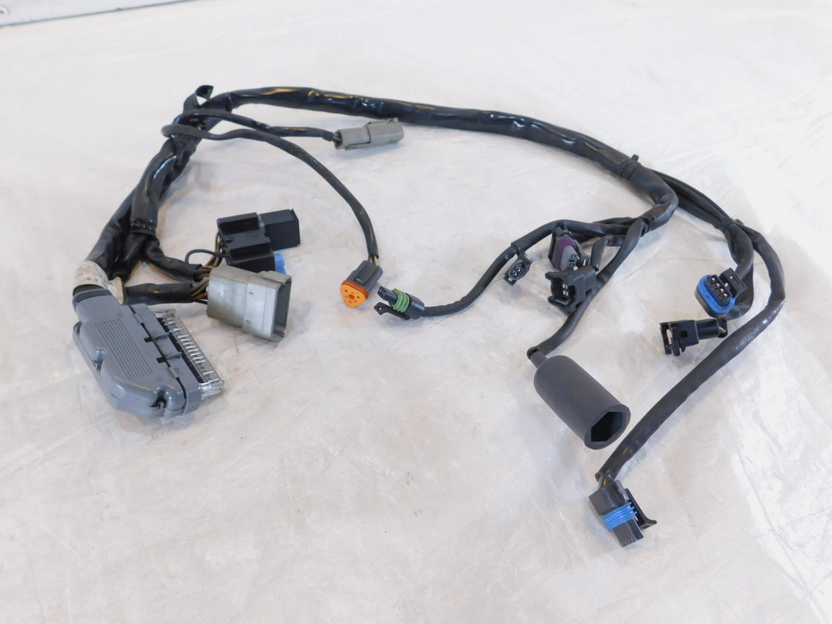 2004 2005 Harley Davidson Road King & Electra Glide EFI ECM Wire Wiring Harness - C3 Cycle