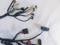 2001-2005 Honda VT1100 VT1100C Shadow Spirit 1100 Main Wiring Wire Harness Loom - C3 Cycle