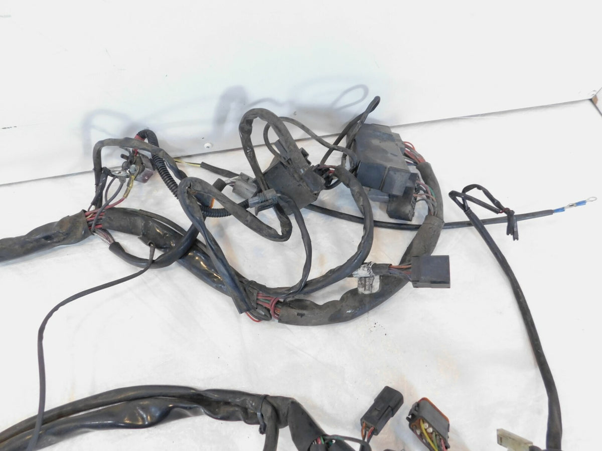 00 Harley Electra Glide Classic & Road Glide Main Electrical Wire Wiring Harness