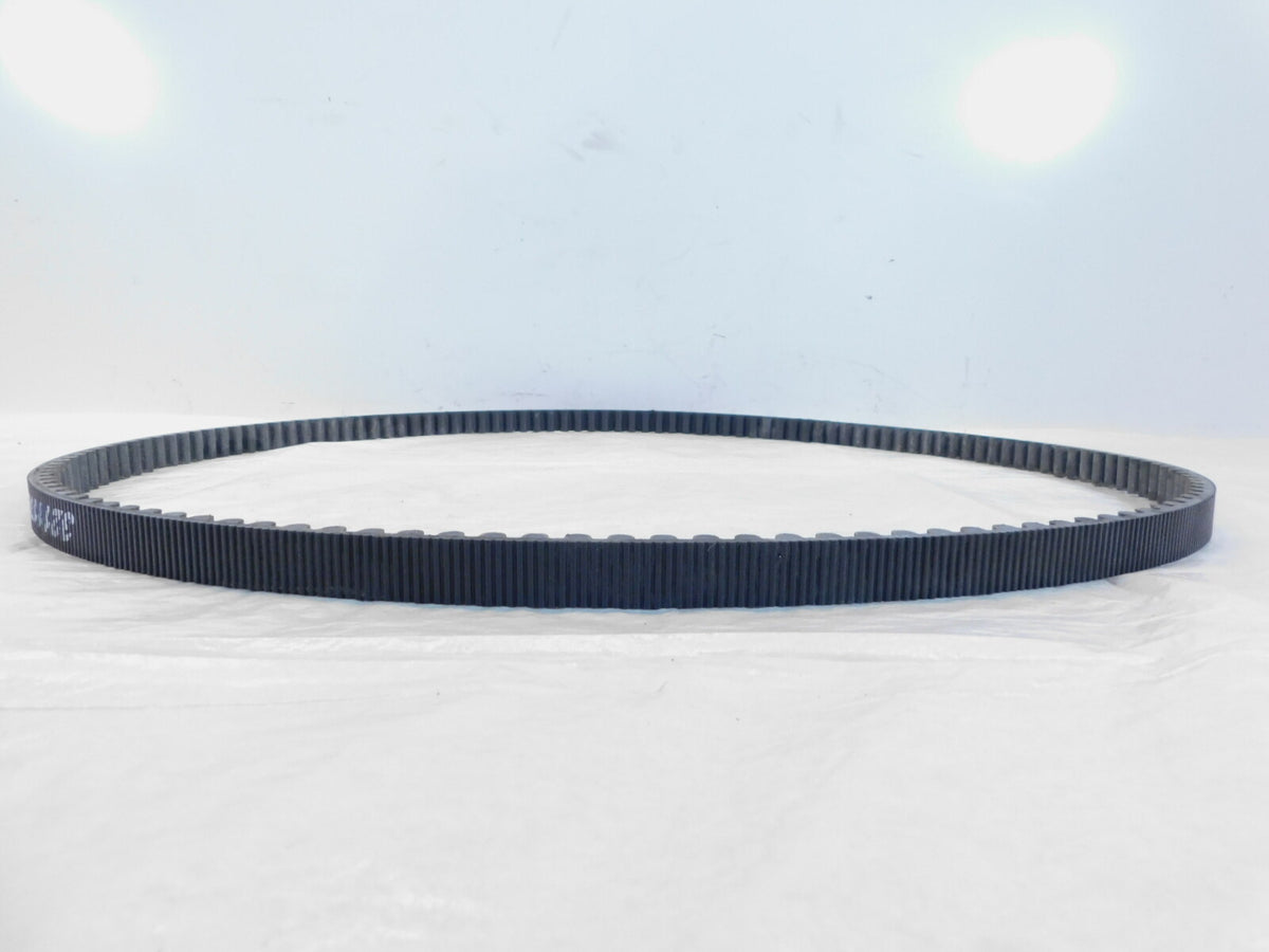 2015-2019 Indian Scout, Sixty, 1200 & Bobber Rear Wheel Drive Belt - C3 Cycle