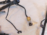 2005 Harley Davidson Sportster 883 & 1200 Wiring Wire Harness w/ Ignition Switch - C3 Cycle