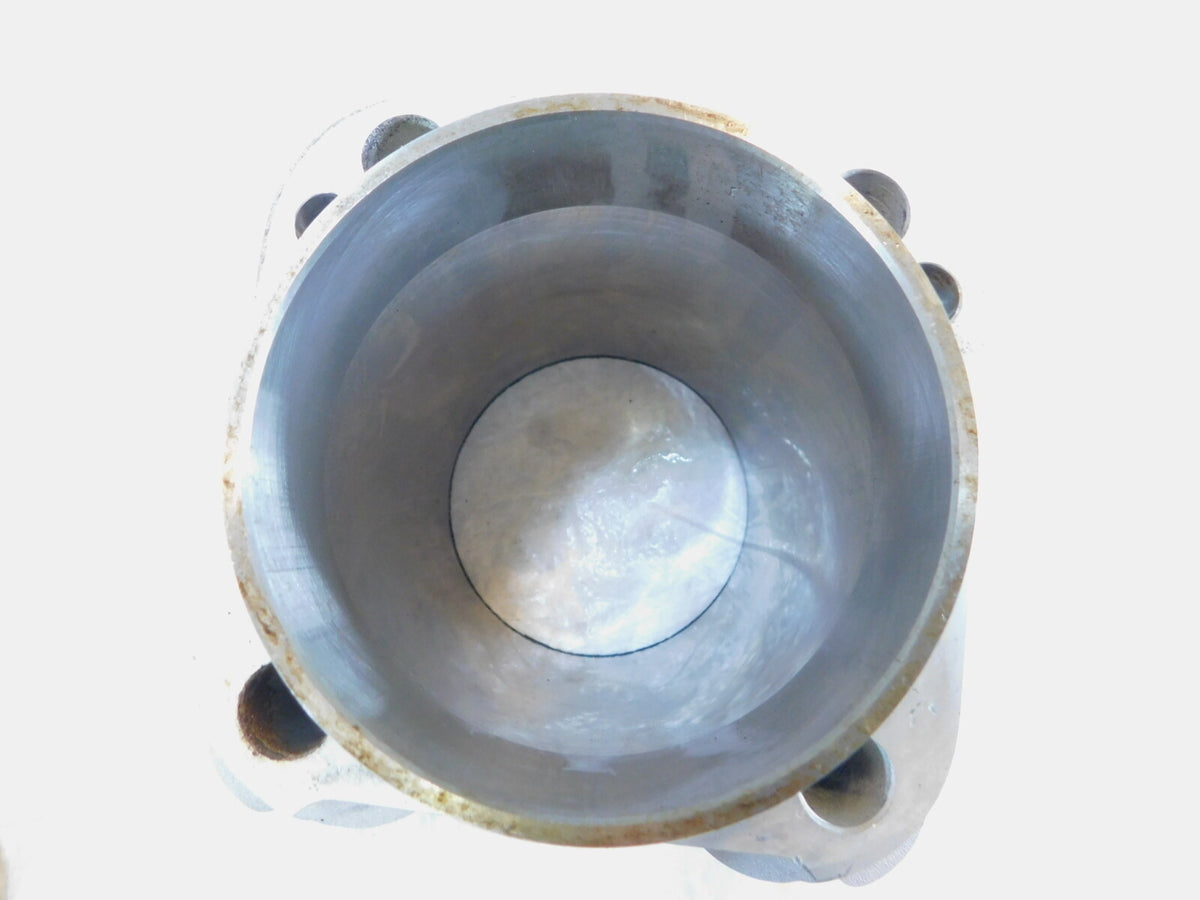 Harley Davidson Touring Dyna & Softail Twin Cam Motor Piston & Silver Cylinder - C3 Cycle