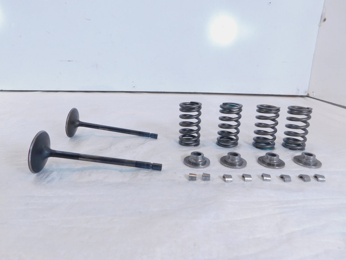 2020-2022 Indian Challenger Limited Dark Horse Intake & Exhaust Valves & Springs - C3 Cycle