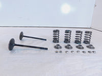2020-2022 Indian Challenger Limited Dark Horse Intake & Exhaust Valves & Springs - C3 Cycle