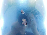 1999-2001 Harley Davidson Dyna Low Rider & Super Glide Rear Wheel Cover Fender