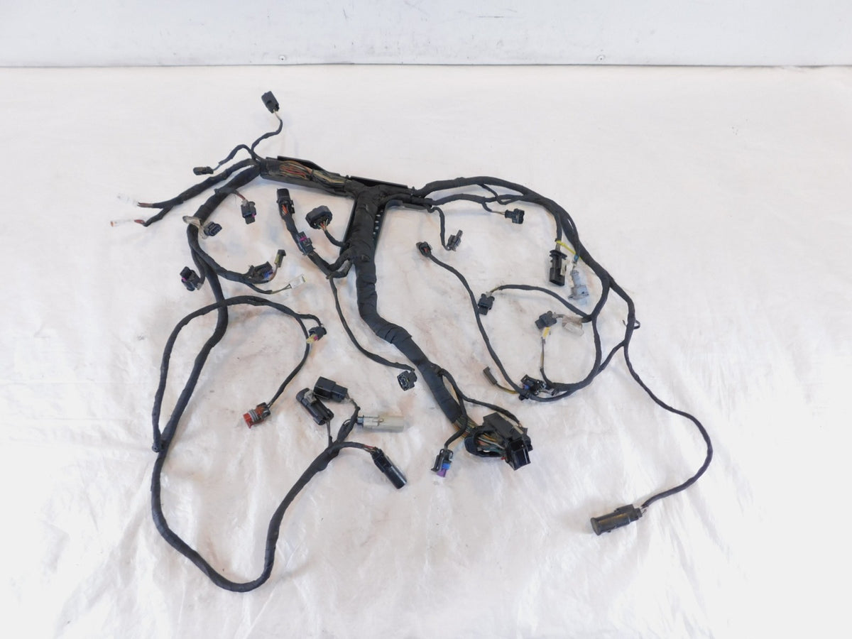 Harley Davidson Pan America RA1250 1250 1250S Engine Wire Wiring Harness Loom - C3 Cycle