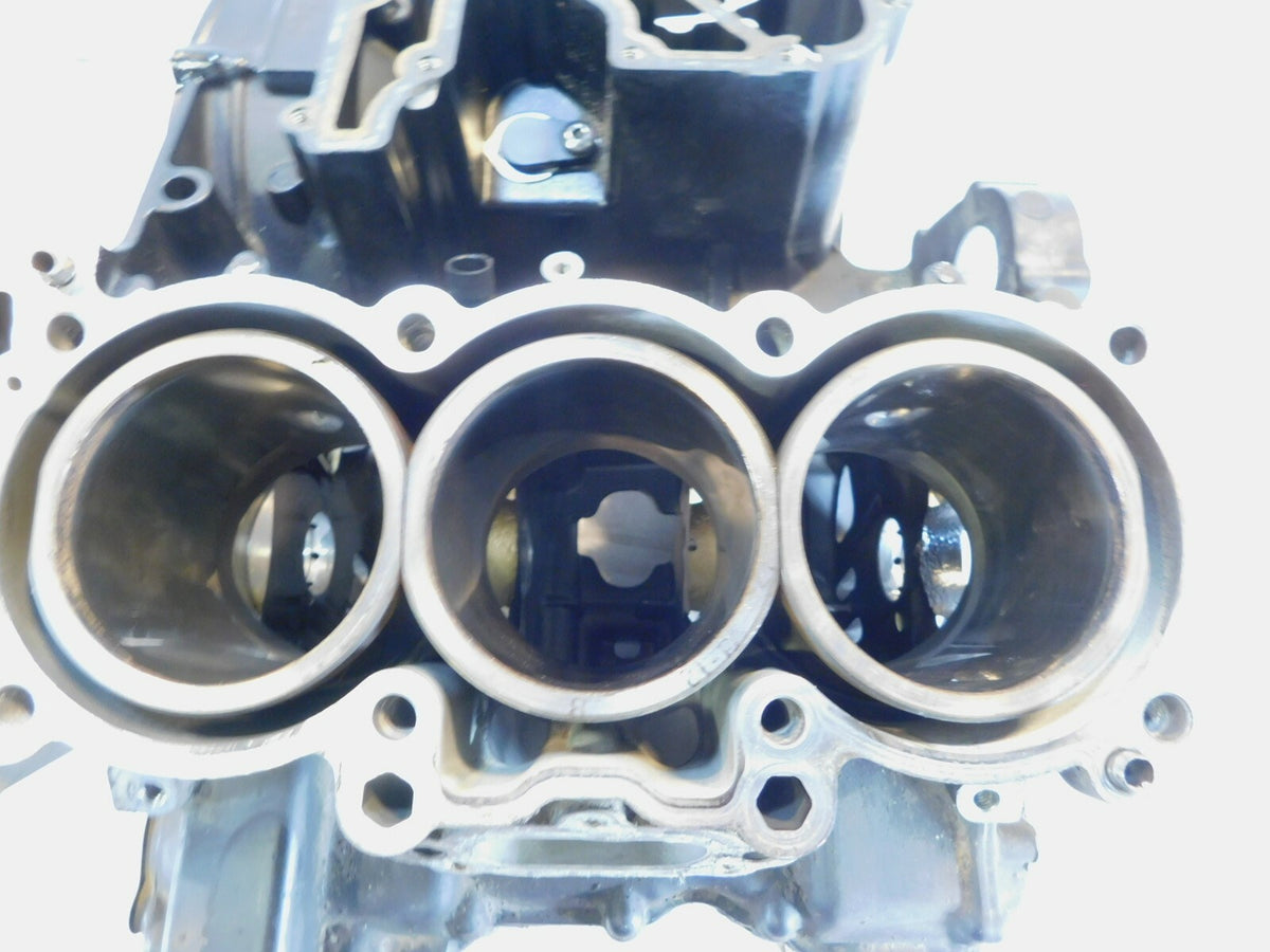 2011-2015 Triumph Tiger 800 800XC XC Engine Motor Block Crankcase Set - T1161849 - C3 Cycle