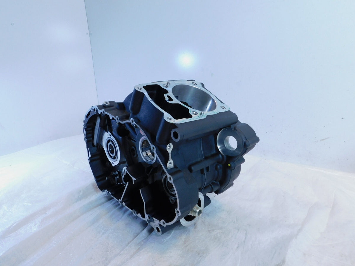 2015-2020 Harley Davidson Street 500 & 750 Engine Motor Crankcase Crank Cases