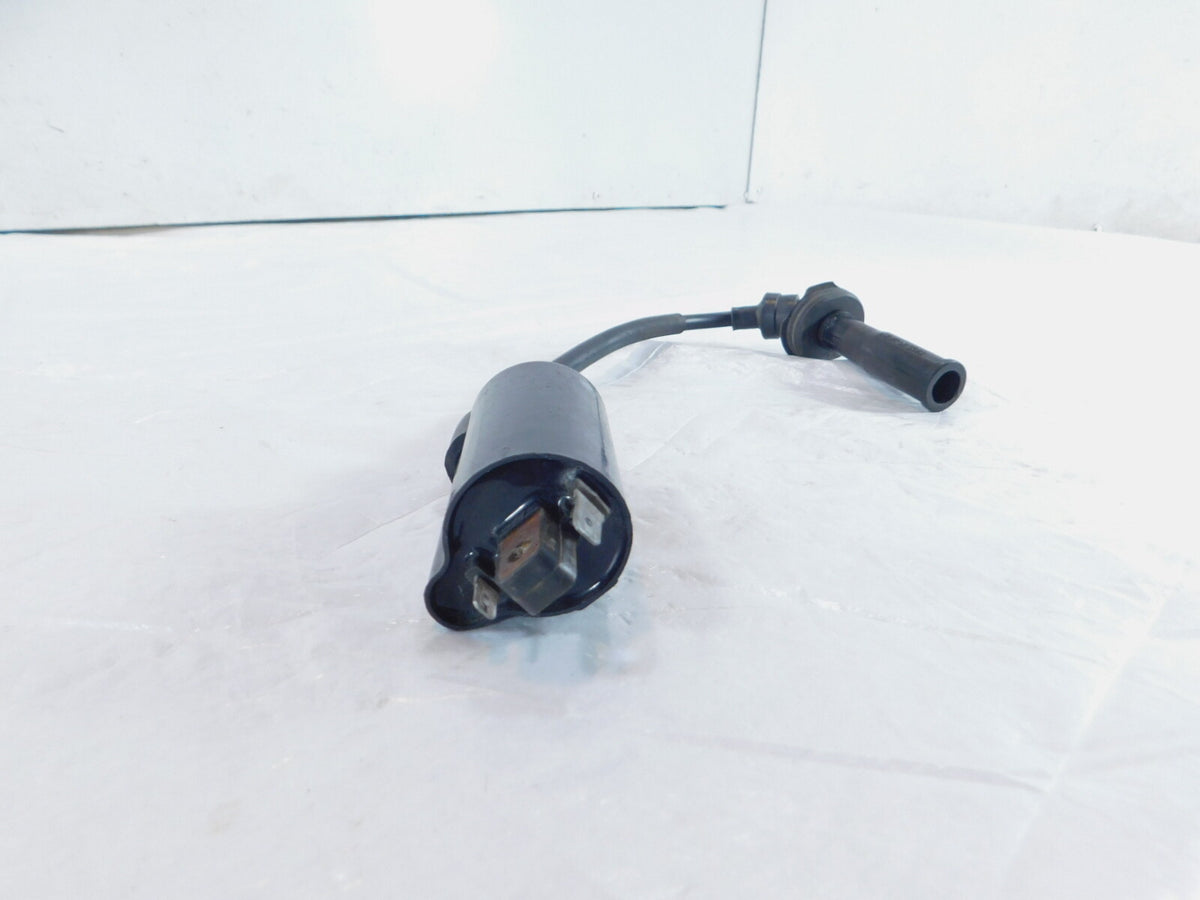 2002 MZ Skorpion Tour MZ660 660cc Engine Motor Ignition Coil w/ Spark Plug Cap