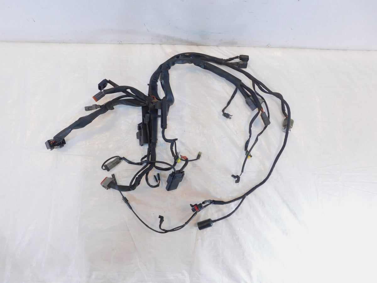 2006 06 Harley Davidson Sportster 883 & 1200 Main Wire Wiring Harness - no Key - C3 Cycle