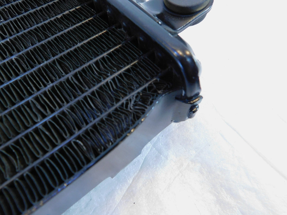 2015-2020 Harley Davidson Street XG500 500 & XG750 750 Engine Coolant Radiator - C3 Cycle