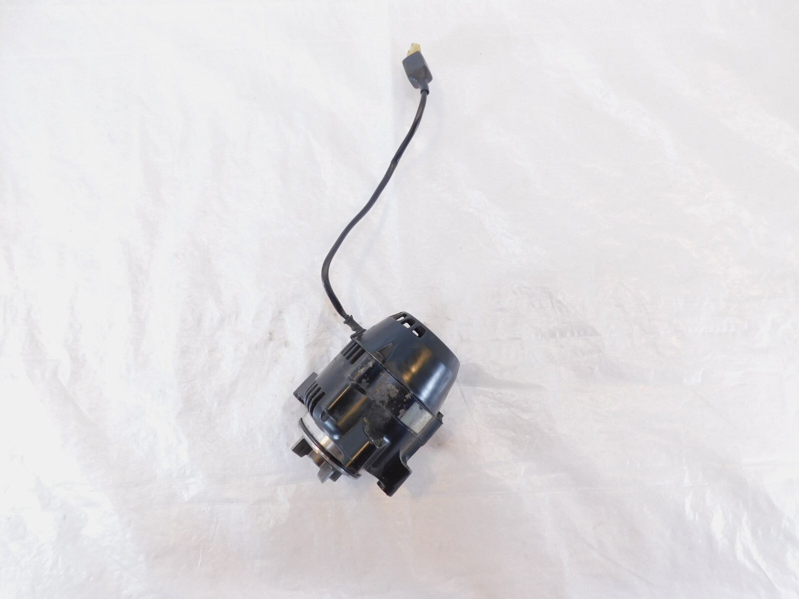 キハダ SAR 10_08e018b4-dbe0-492f-acd3-