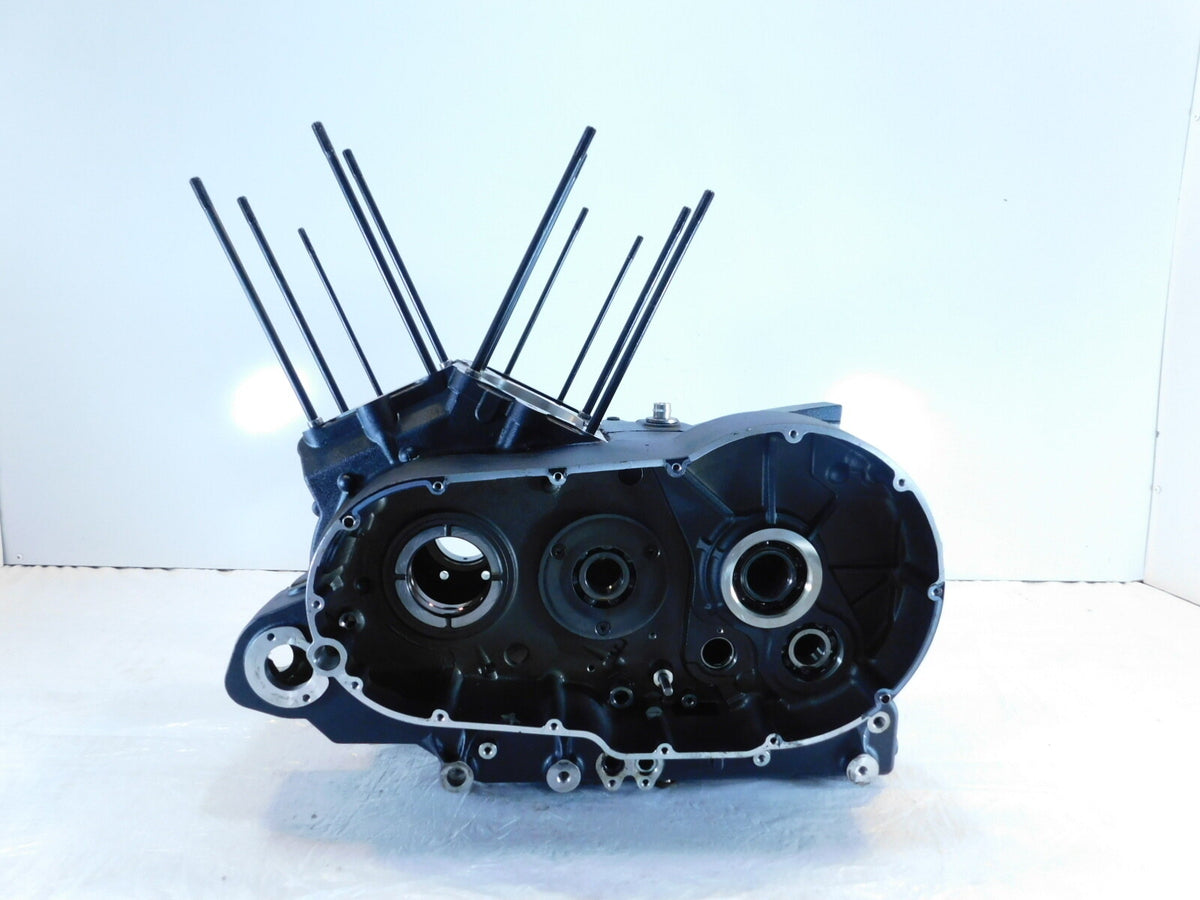 Polaris Victory Jackpot Magnum Vision Vegas Engine Motor Black Crankcase Cases - C3 Cycle