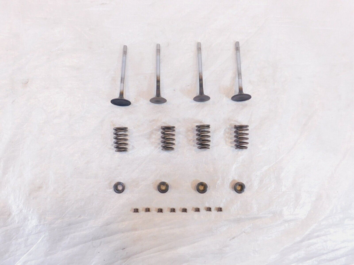 Victory Hammer Kingpin & Vegas Exhaust & Intake Valves w/ Retainers & Springs - C3 Cycle