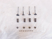 Victory Hammer Kingpin & Vegas Exhaust & Intake Valves w/ Retainers & Springs - C3 Cycle